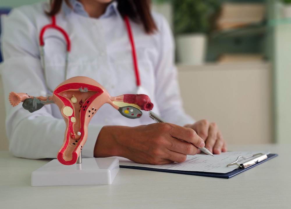 Ginecologista em Parauapebas: descubra como escolher uma especialista para cuidar da sua saúde feminina